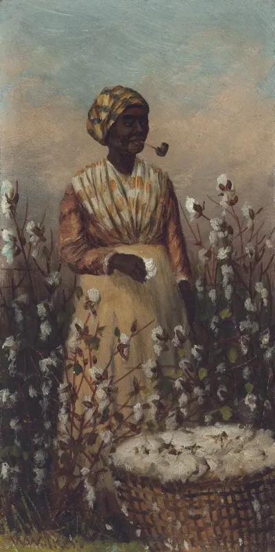 Woman Smoking Pipe And Picking Cotton
