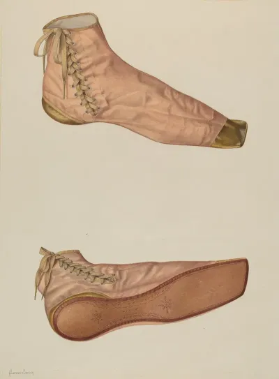Womans Silk Shoe
