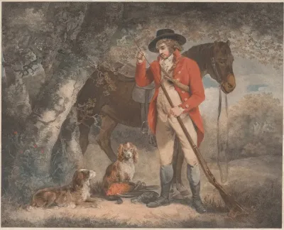 Wood Cock And Pheasant Shooting