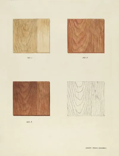 Wood Grain Demo