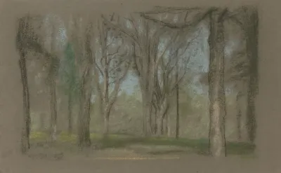 Wood Scene The Park