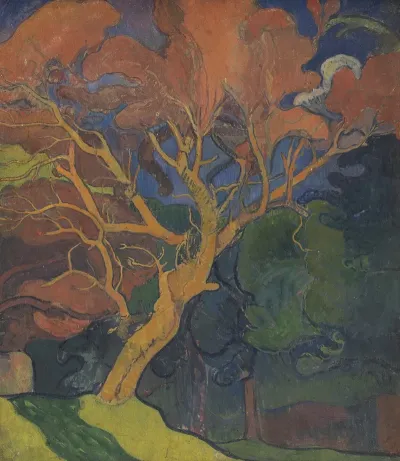 Wood With Crooked Tree