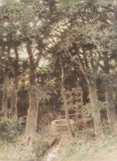 Wood With Well