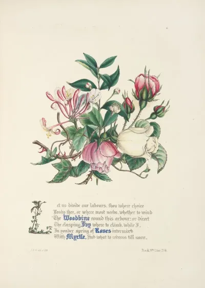 Woodbine Ivy Roses And Myrtle