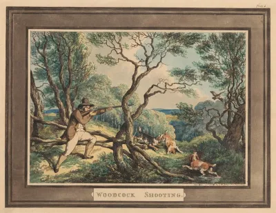 Woodcock Shooting 2