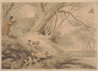 Woodcock Shooting 3