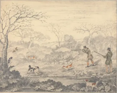 Woodcock Shooting 4