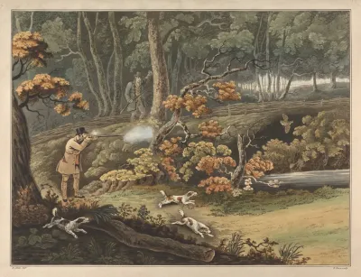 Woodcock Shooting 5