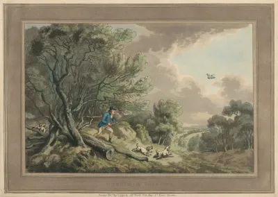 Woodcock Shooting