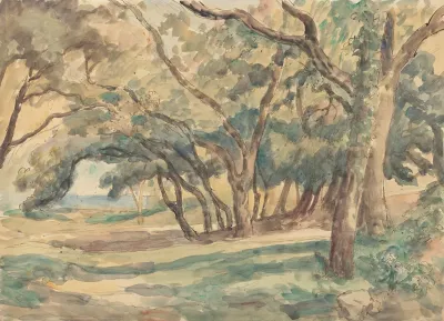 Wooded Glade Near St Tropez