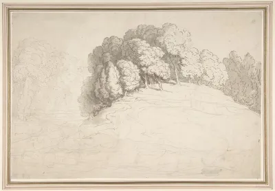 Wooded Hillside With Deer
