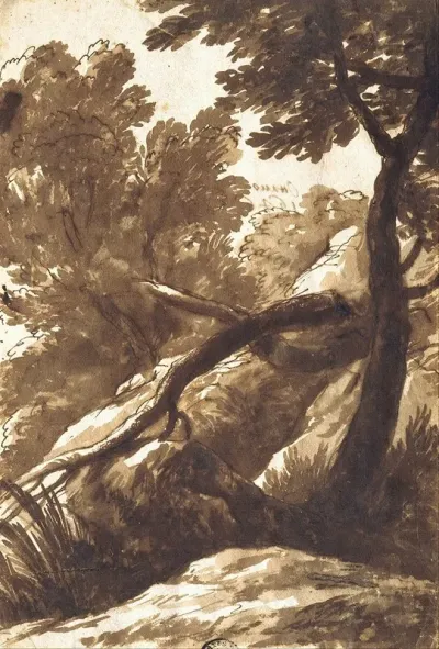 Wooded Landscape 13