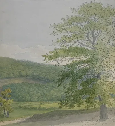 Wooded Landscape 18
