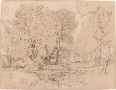 Wooded Landscape 2