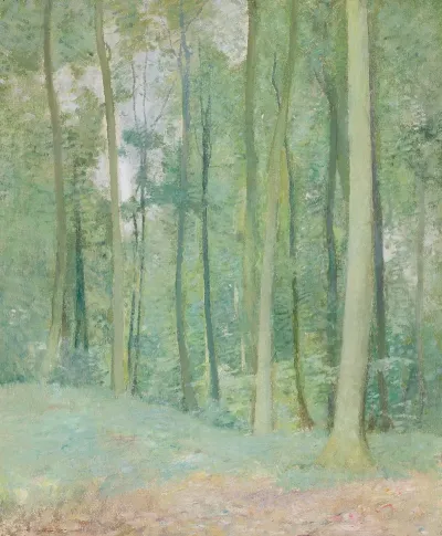 Wooded Landscape 9