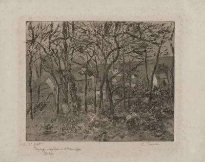 Wooded Landscape At The Hermitage