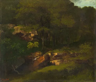 Wooded Mountain Slope With Rocks
