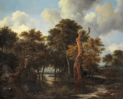 Wooden Marsh Landscape With Dead Tree