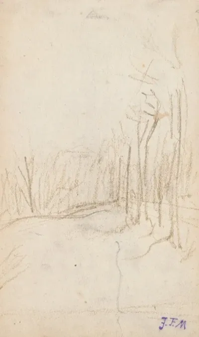 Woodland Clearing