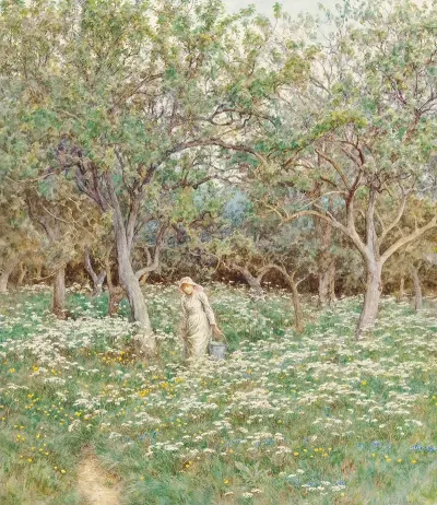 Woodland Flowers