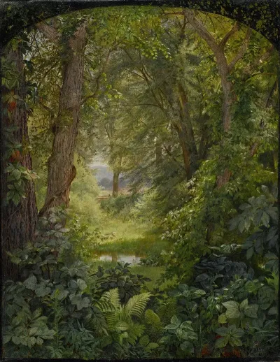 Woodland Landscape Woodland Glade