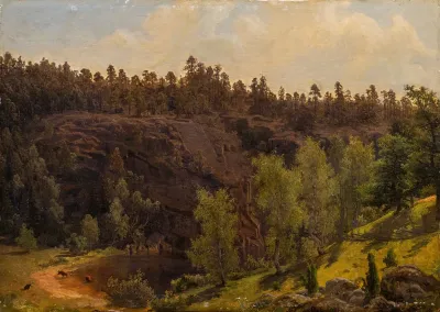 Woodland Pool In Sunshine