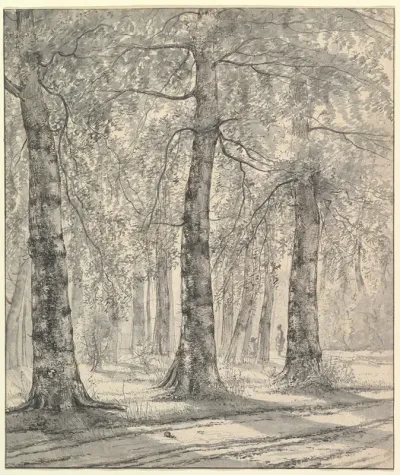Woodland Scene 2