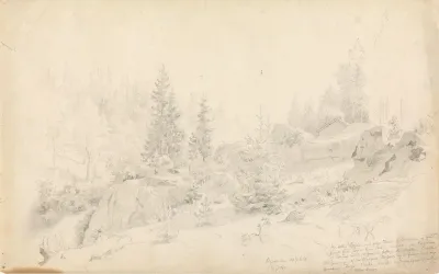 Woodland Scene 5