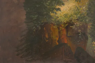 Woodland Scene With Rocks