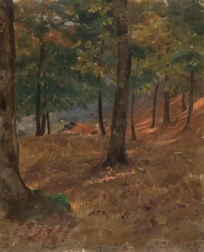 Woodland Scene
