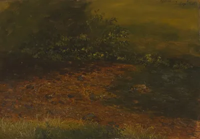 Woodland Stream In The Catskills