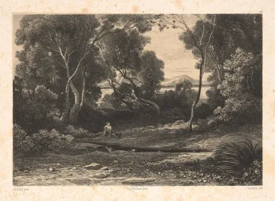 Woodland With Nymph
