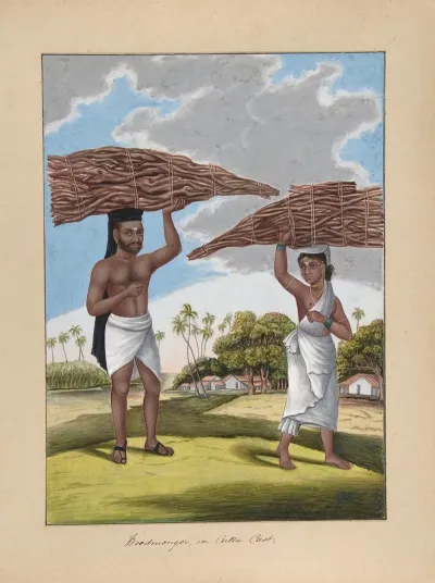 Woodmonger In Culla Caste