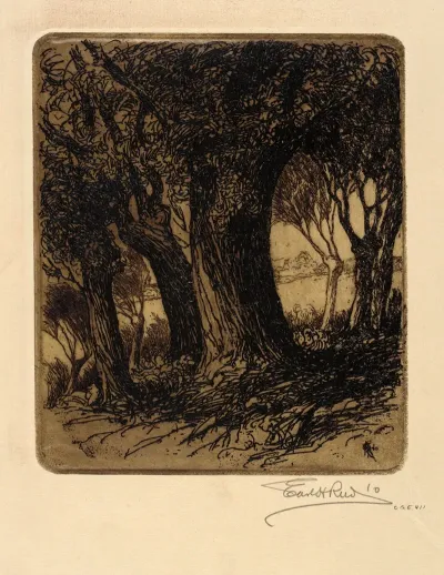 Woods 2