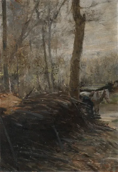 Woods Scene