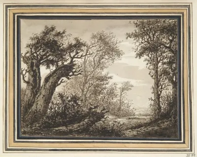 Woody Landscape 2
