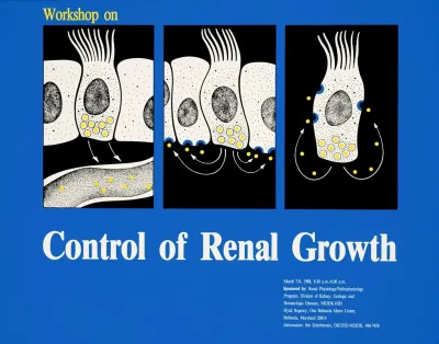 Workshop On Control Of Renal Growth