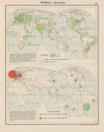 World Economic Cattle The Beef Trade