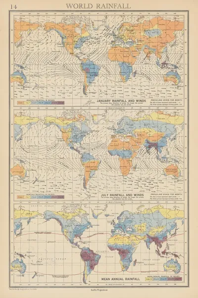 World Rainfall