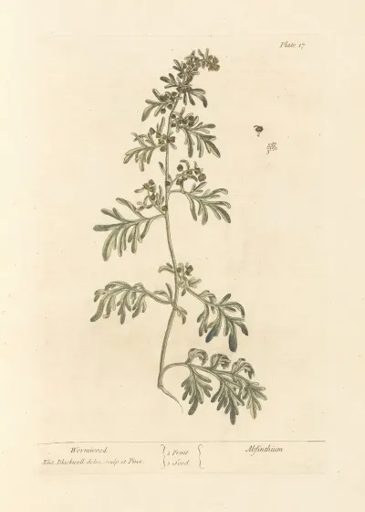 Wormwood 2
