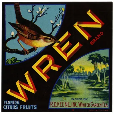 Wren Brand Florida Citrus Fruit Label