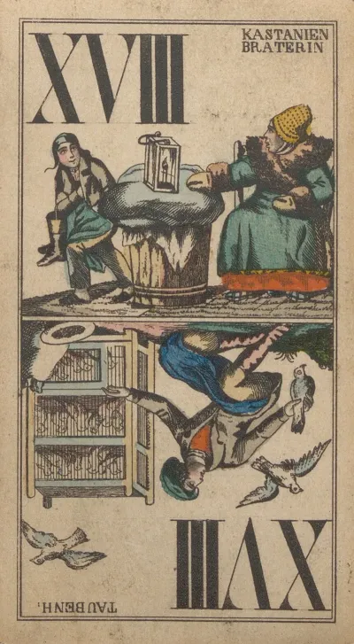 Xviii Kastanienbraterin Taubenh
