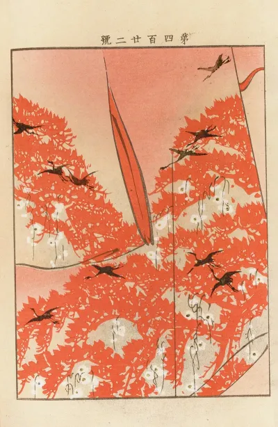 Yachigusa V 15 Pl 02