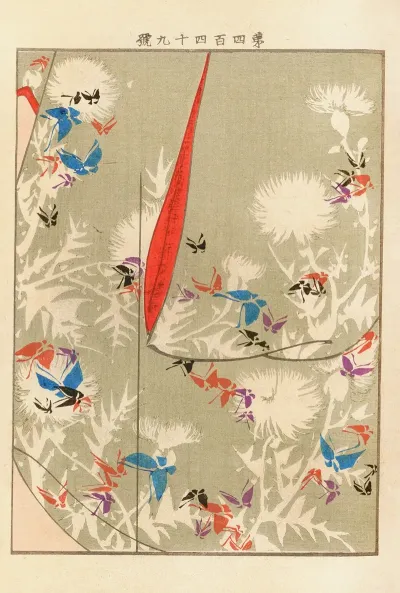 Yachigusa V 15 Pl 29