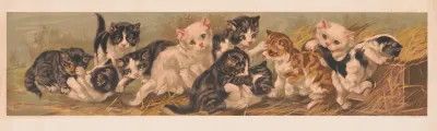 Yard Of Cats 2