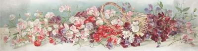 Yard Of Sweet Peas