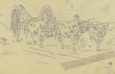 Yoke Of Oxen 2