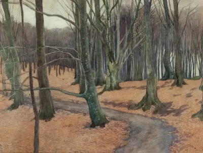 Young Beech Wood