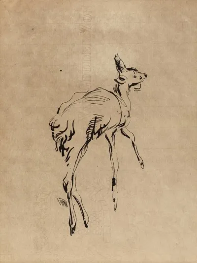 Young Deer 2