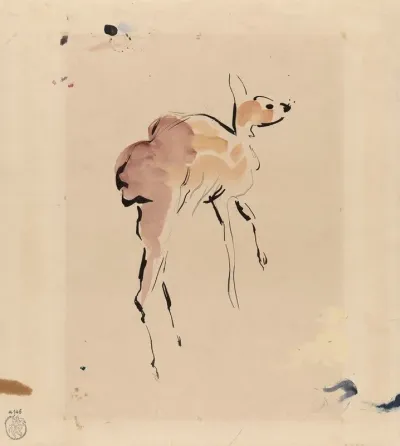 Young Deer